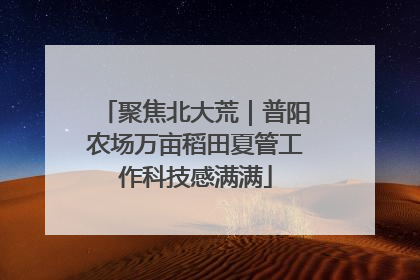 聚焦北大荒｜普阳农场万亩稻田夏管工作科技感满满