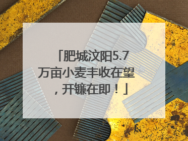 肥城汶阳5.7万亩小麦丰收在望，开镰在即！