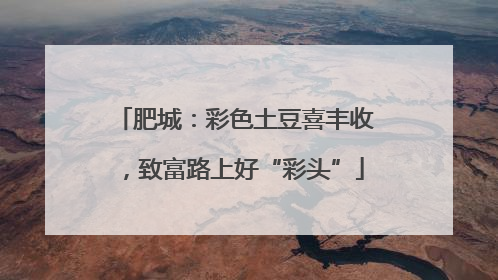 肥城：彩色土豆喜丰收，致富路上好“彩头”