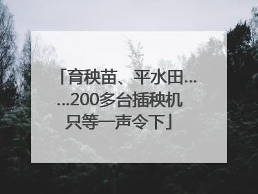 育秧苗、平水田……200多台插秧机只等一声令下