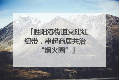 胜阳港街道党建红纽带，串起商居共治 “烟火圈”