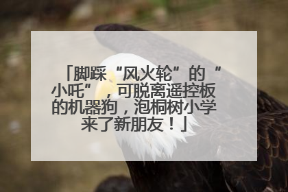 脚踩“风火轮”的“小吒”，可脱离遥控板的机器狗，泡桐树小学来了新朋友！