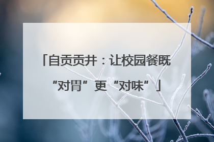 自贡贡井：让校园餐既“对胃”更“对味”