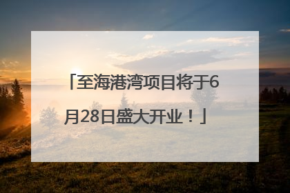至海港湾项目将于6月28日盛大开业！