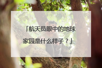 航天员眼中的地球家园是什么样子？