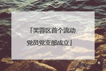 芙蓉区首个流动党员党支部成立