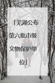 芜湖公布第六批市级文物保护单位