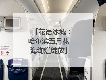 花语冰城：哈尔滨五月花海绚烂绽放