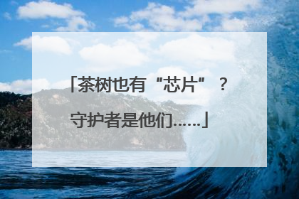 茶树也有“芯片”？守护者是他们……