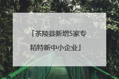 茶陵县新增5家专精特新中小企业