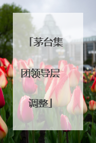 茅台集团领导层调整