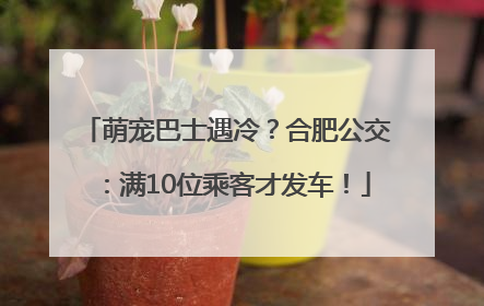 萌宠巴士遇冷？合肥公交：满10位乘客才发车！