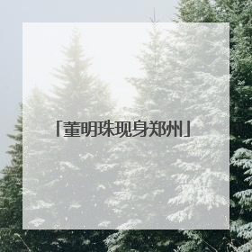 董明珠现身郑州