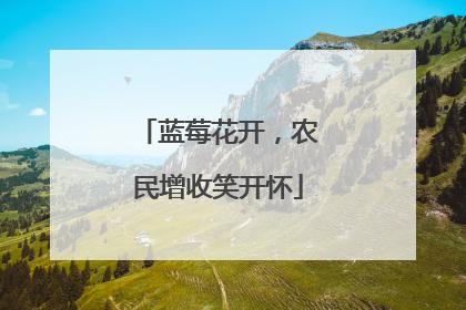 蓝莓花开，农民增收笑开怀