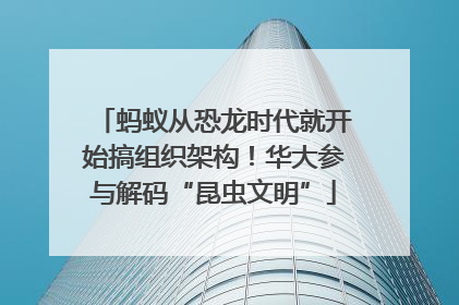 蚂蚁从恐龙时代就开始搞组织架构！华大参与解码“昆虫文明”