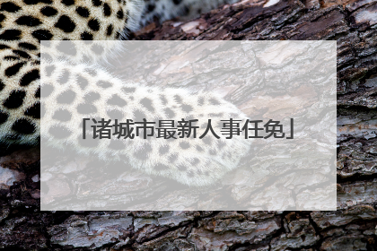 诸城市最新人事任免