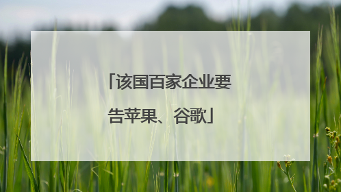 该国百家企业要告苹果、谷歌
