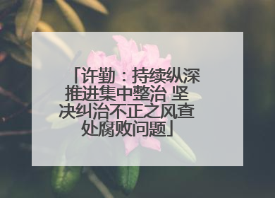 许勤：持续纵深推进集中整治 坚决纠治不正之风查处腐败问题