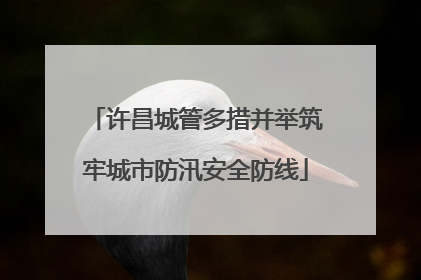 许昌城管多措并举筑牢城市防汛安全防线