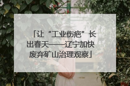 让“工业伤疤”长出春天——辽宁加快废弃矿山治理观察