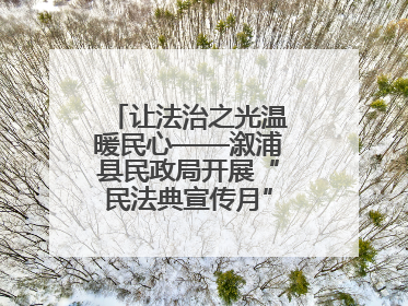 让法治之光温暖民心——溆浦县民政局开展“民法典宣传月” 普法活动