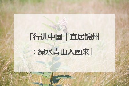 行进中国｜宜居锦州：绿水青山入画来