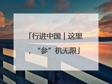 行进中国｜这里，“参”机无限