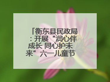 衡东县民政局：开展“润心伴成长 同心护未来”六一儿童节系列关爱活动