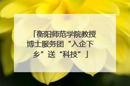 衡阳师范学院教授博士服务团“入企下乡”送“科技”