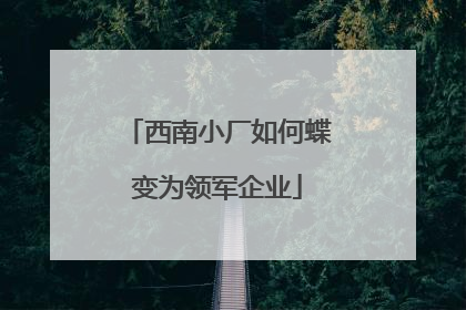 西南小厂如何蝶变为领军企业