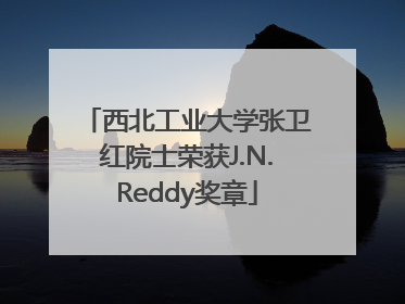 西北工业大学张卫红院士荣获J.N.Reddy奖章