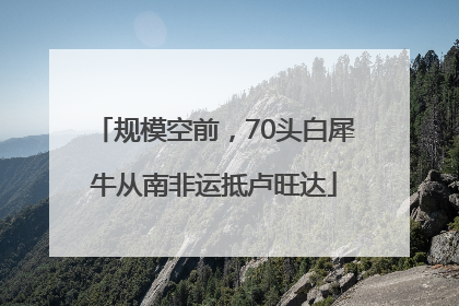 规模空前，70头白犀牛从南非运抵卢旺达