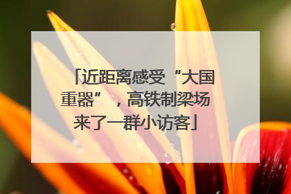 近距离感受“大国重器”，高铁制梁场来了一群小访客