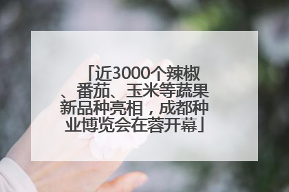近3000个辣椒、番茄、玉米等蔬果新品种亮相，成都种业博览会在蓉开幕