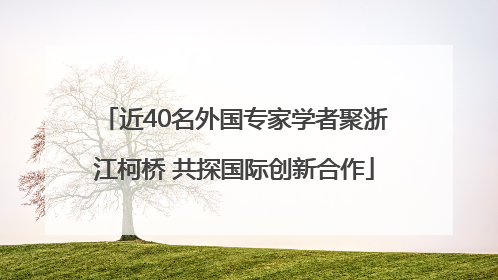 近40名外国专家学者聚浙江柯桥 共探国际创新合作