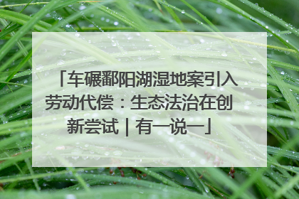 车碾鄱阳湖湿地案引入劳动代偿：生态法治在创新尝试｜有一说一