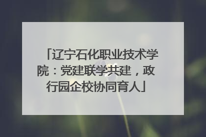 辽宁石化职业技术学院：党建联学共建，政行园企校协同育人