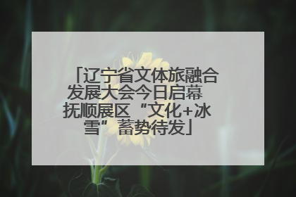 辽宁省文体旅融合发展大会今日启幕 抚顺展区“文化+冰雪”蓄势待发