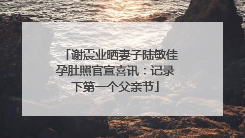 谢震业晒妻子陆敏佳孕肚照官宣喜讯：记录下第一个父亲节