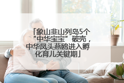 象山韭山列岛5个“中华宝宝”破壳，中华凤头燕鸥进入孵化育儿关键期