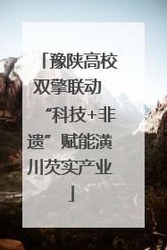 豫陕高校双擎联动 “科技+非遗”赋能潢川芡实产业