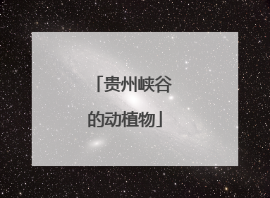 贵州峡谷的动植物
