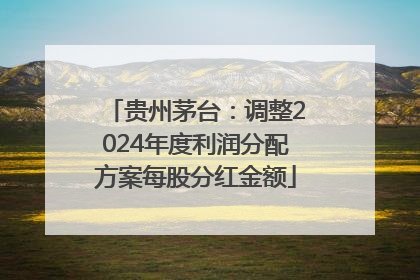 贵州茅台：调整2024年度利润分配方案每股分红金额