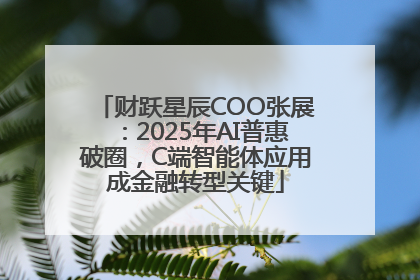 财跃星辰COO张展：2025年AI普惠破圈，C端智能体应用成金融转型关键