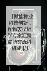 赋能种业科技创新，作物表型组学专家汇聚淄博交流科研成果