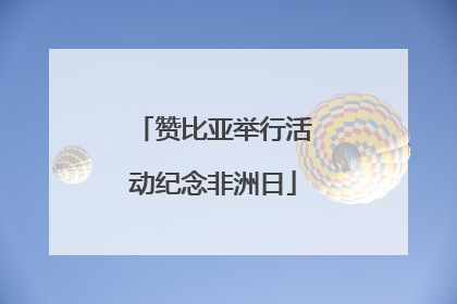 赞比亚举行活动纪念非洲日