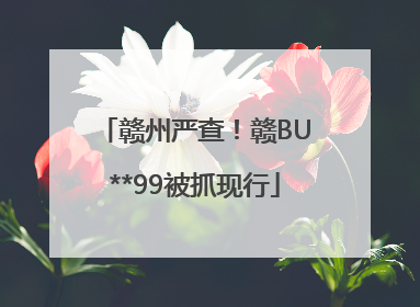 赣州严查！赣BU**99被抓现行