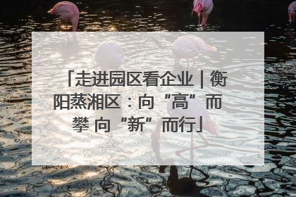 走进园区看企业｜衡阳蒸湘区：向“高”而攀 向“新”而行