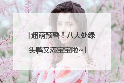 超萌预警！八大处绿头鸭又添宝宝啦~