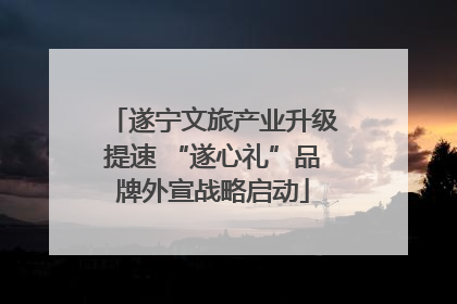 遂宁文旅产业升级提速 “遂心礼”品牌外宣战略启动